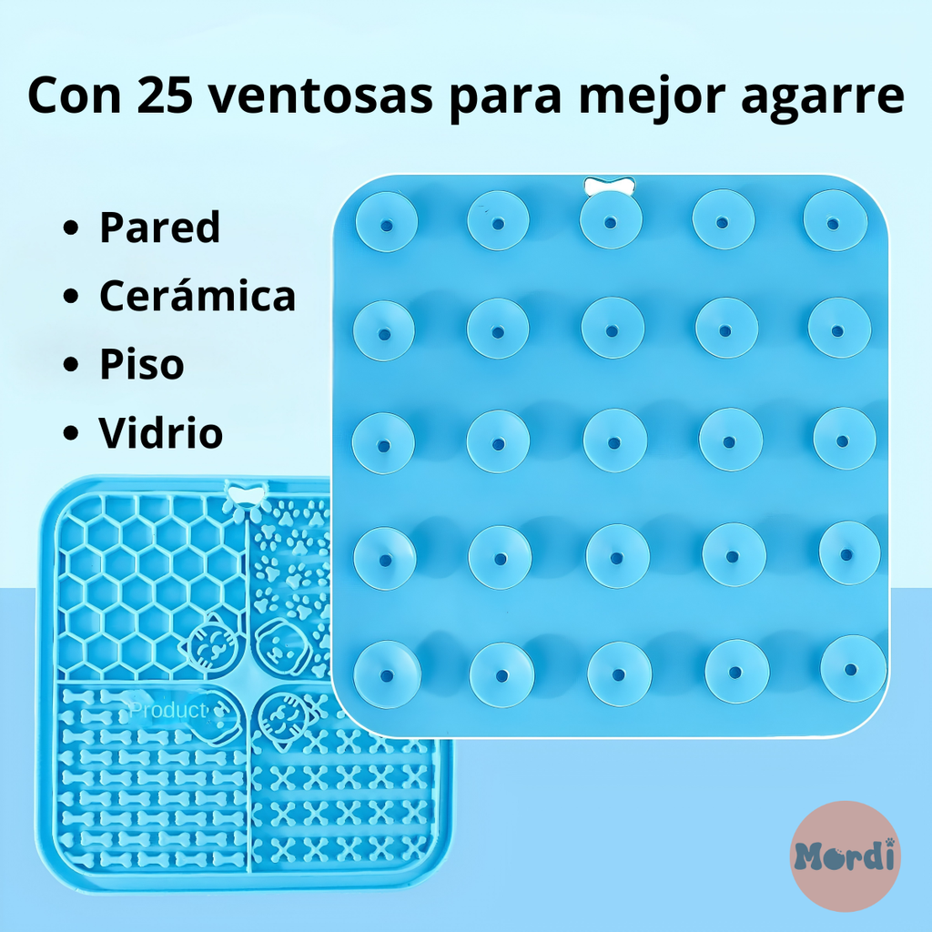 Plato lamer