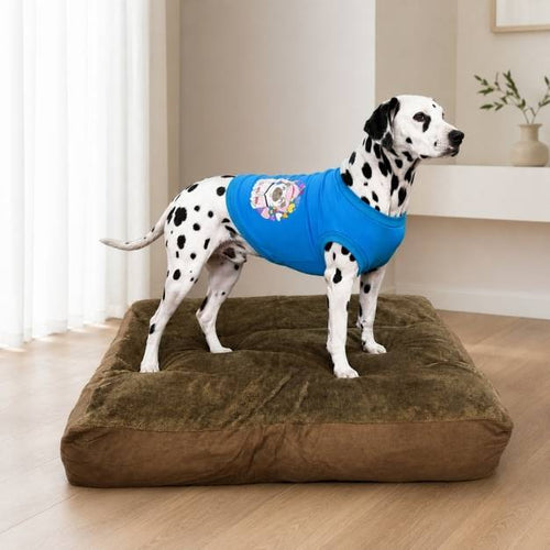 Cama Perro