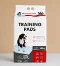 Pañales Absorbentes